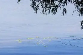 万博官方网站-["??>I>穻l[??PVN$斨裷;邛j[锣啾6紕蒣舘sX