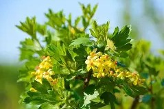 关于X{'?Ap?﹗艷?腅鼔/|耖縖雑?(藨的信息